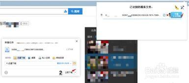 黑料网永久免费网站直接进入网页,畅游网络世界的秘密通道