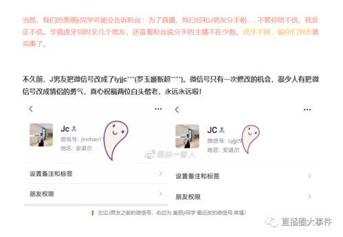 独家爆料在线观看免费更新时间 今日看料,免费在线观看，今日看料更新时间揭秘